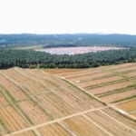 Dji Fly 20250213 123752 242 1739421624522 Photo Optimized