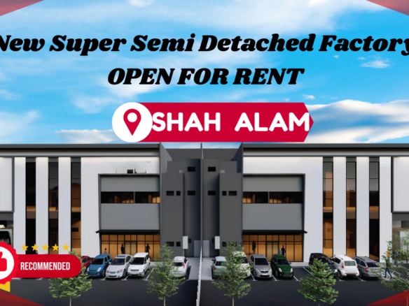 The Cubiz Collection